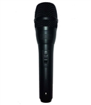 Micro Karaoke Arirang A-3.8