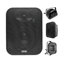 Loa treo tường Oris TO 266